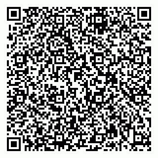 vCard 79992740276