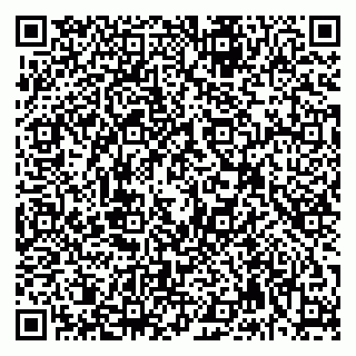 vCard 79992740284