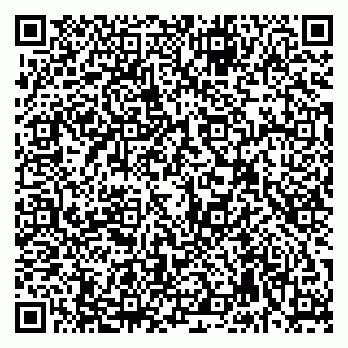 vCard 79992740295