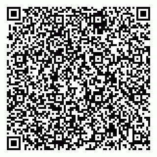 vCard 79992740296