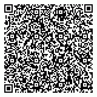 vCard 79992740309