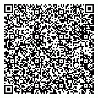 vCard 79992740312