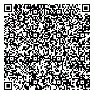 vCard 79992740313