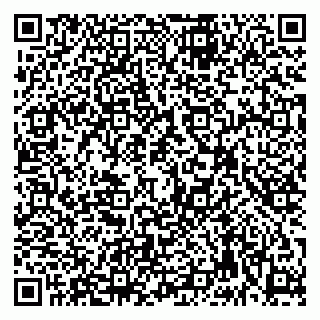 vCard 79992740319
