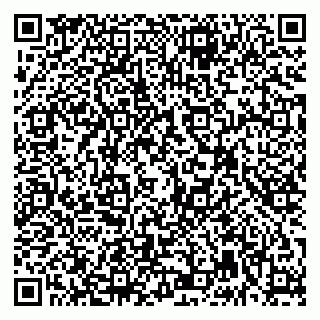 vCard 79992740323
