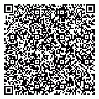 vCard 79992740332