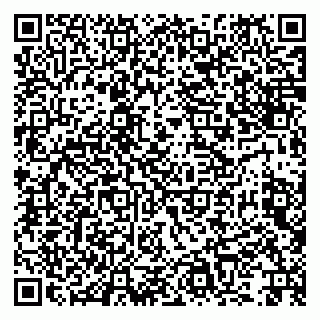 vCard 79992740337