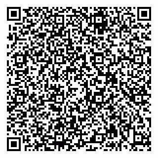 vCard 79992740346