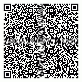 vCard 79992740378