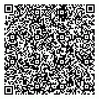 vCard 79992740394