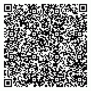 vCard 79992800172