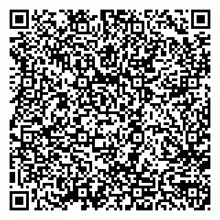 vCard 79992800300