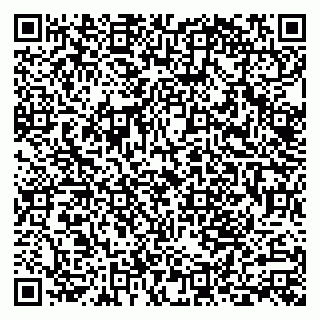 vCard 79992800339