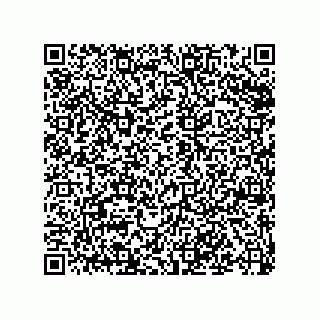 vCard 79992803339