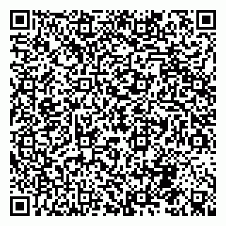 vCard 79992818101