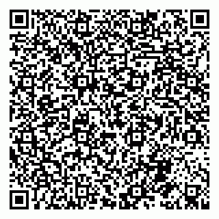 vCard 79992818173