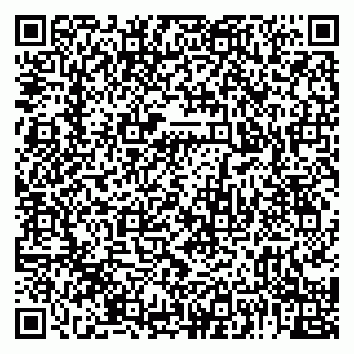 vCard 79992818253