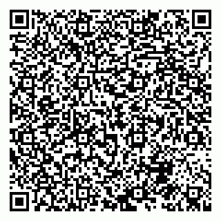 vCard 79992818310