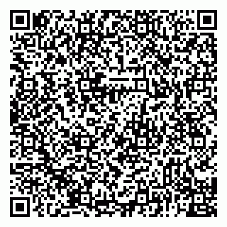 vCard 79992818381