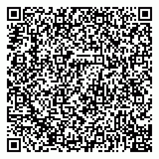 vCard 79992818393