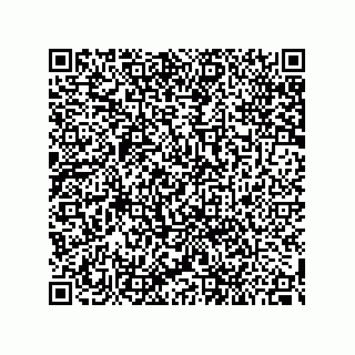 vCard 79993000380