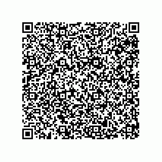 vCard 79993000408