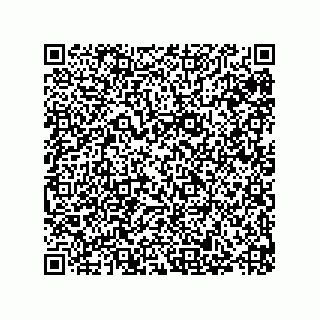 vCard 79993000412
