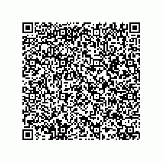 vCard 79993000539
