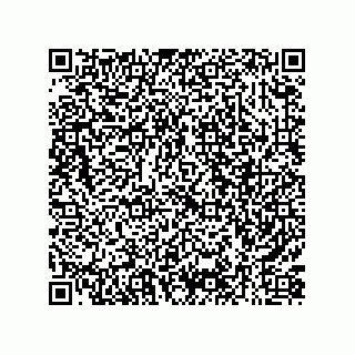 vCard 79993000739