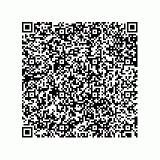 vCard 79993002011