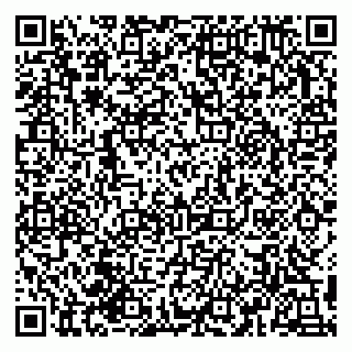vCard 79993155100