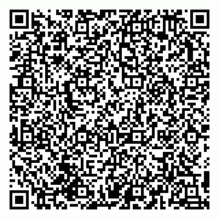 vCard 79993155200