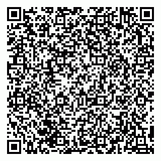 vCard 79993155203