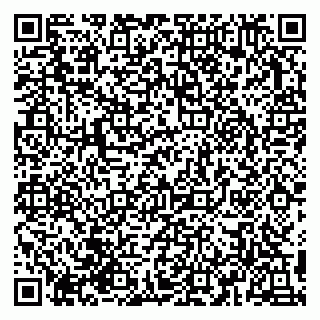 vCard 79993155204