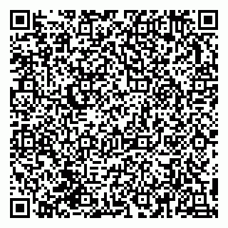 vCard 79993155221