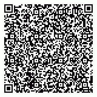 vCard 79993155296