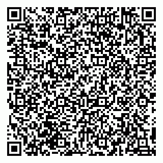 vCard 79993155303