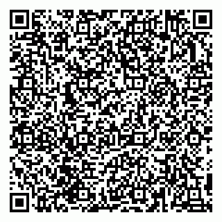 vCard 79993155333