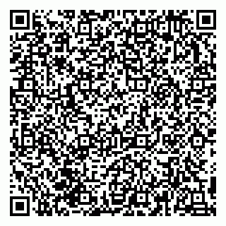vCard 79993155379