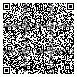 vCard 79993155393