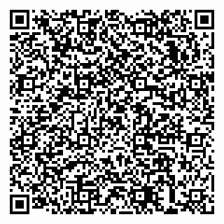 vCard 79993300043