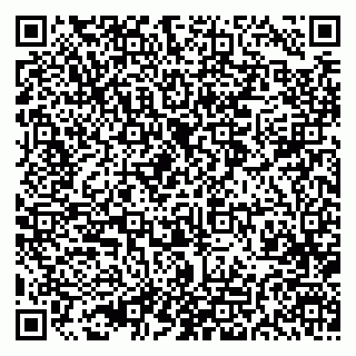 vCard 79993300093