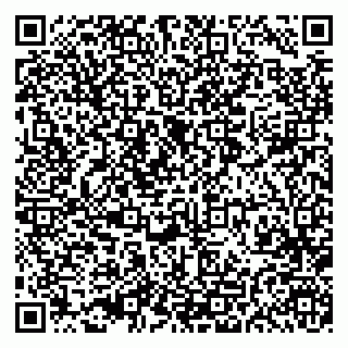 vCard 79993300115