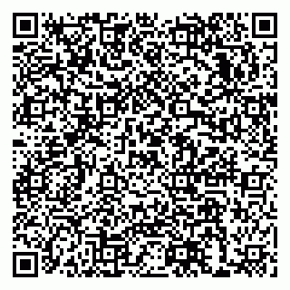 vCard 79993300181