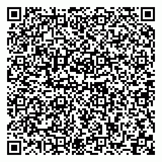 vCard 79993300258
