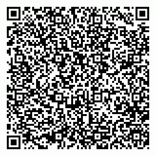 vCard 79993300310