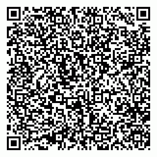 vCard 79993300316