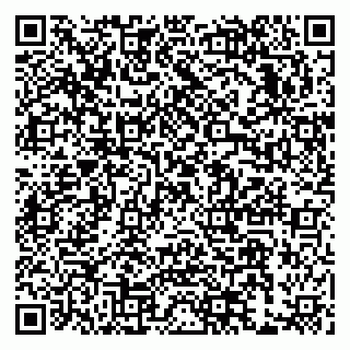 vCard 79993300384