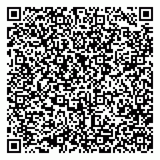 vCard 79993300399