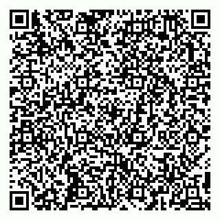vCard 79993358000